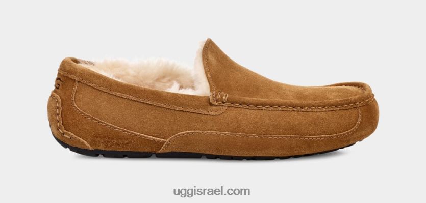 כפכף אסקוט גברים UGG VLDPRV1421 עַרמוֹן
