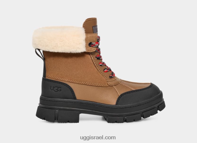 אשטון אדי נשים UGG VLDPRV548 עַרמוֹן