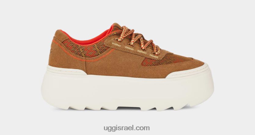 marin מגה צמה מורשת תחרה נשים UGG VLDPRV529 עַרמוֹן